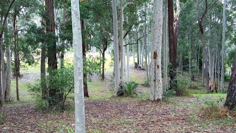 Photo - Lot 6 Barrakee Drive, Long Beach NSW 2536 - Image 16