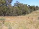 Photo - Lot 6 Bradley'S Drive, Tumbarumba NSW 2653 - Image 2