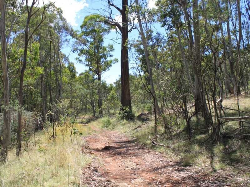 Photo - Lot 6 Bradley'S Drive, Tumbarumba NSW 2653 - Image 5