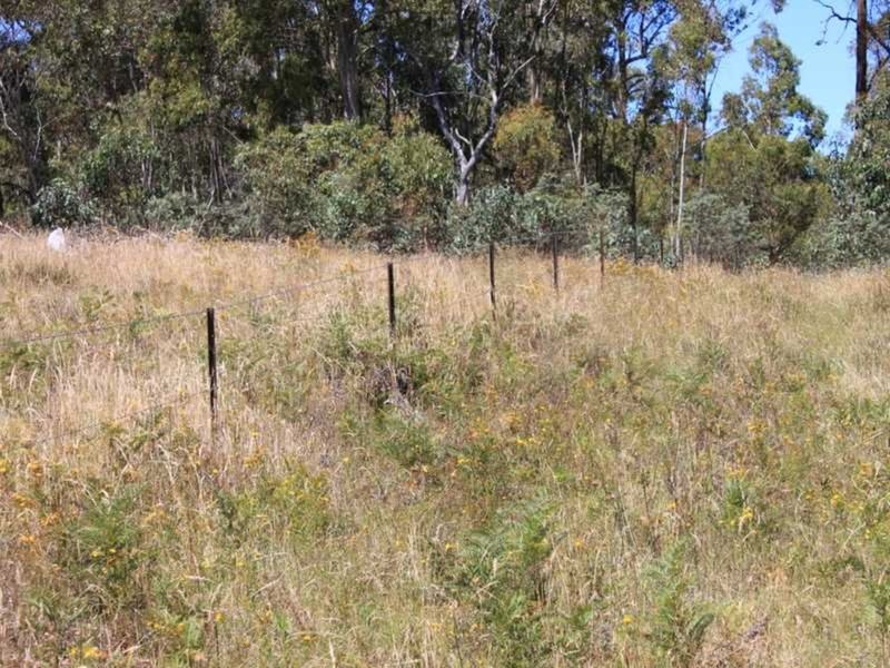 Photo - Lot 6 Bradley'S Drive, Tumbarumba NSW 2653 - Image 8