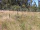 Photo - Lot 6 Bradley'S Drive, Tumbarumba NSW 2653 - Image 8