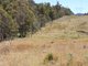 Photo - Lot 6 Bradley'S Drive, Tumbarumba NSW 2653 - Image 9