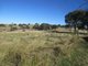 Photo - Lot 6 Clements Road, Woodstock NSW 2793 - Image 6