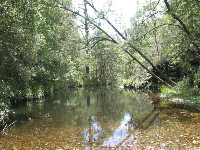 Lot 6 Dungay Creek Rd , Wittitrin NSW 2440