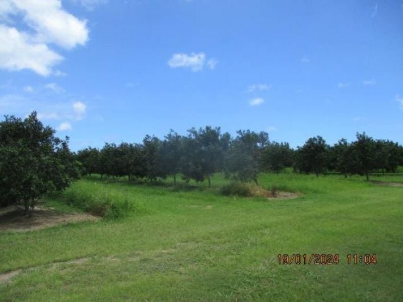 Photo - Lot 6 Eardleys Road, Welcome Creek QLD 4670 - Image 4