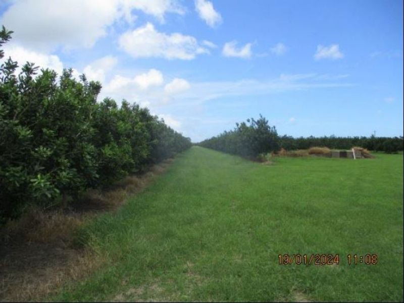 Photo - Lot 6 Eardleys Road, Welcome Creek QLD 4670 - Image 5