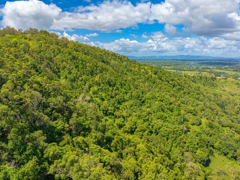 Photo - Lot 6 Horton Road, Chatsworth QLD 4570 - Image 7