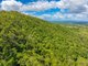 Photo - Lot 6 Horton Road, Chatsworth QLD 4570 - Image 7