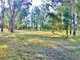 Photo - Lot 6 Lanigans Road, Nanango QLD 4615 - Image 6