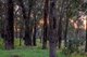 Photo - Lot 6 Maine-Anjou Drive, Lower Chittering WA 6084 - Image 14