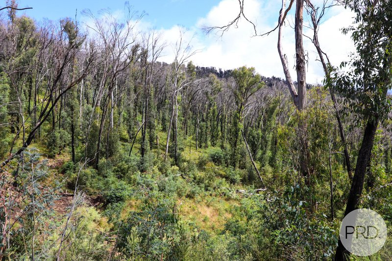 Photo - Lot 6 Moody'S Hill Road, Tumbarumba NSW 2653 - Image 6