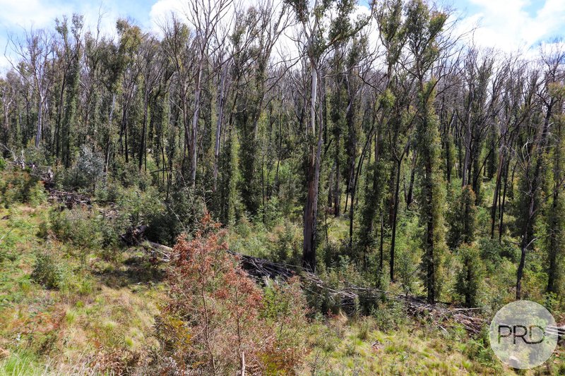 Photo - Lot 6 Moody'S Hill Road, Tumbarumba NSW 2653 - Image 10