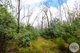 Photo - Lot 6 Moody'S Hill Road, Tumbarumba NSW 2653 - Image 11