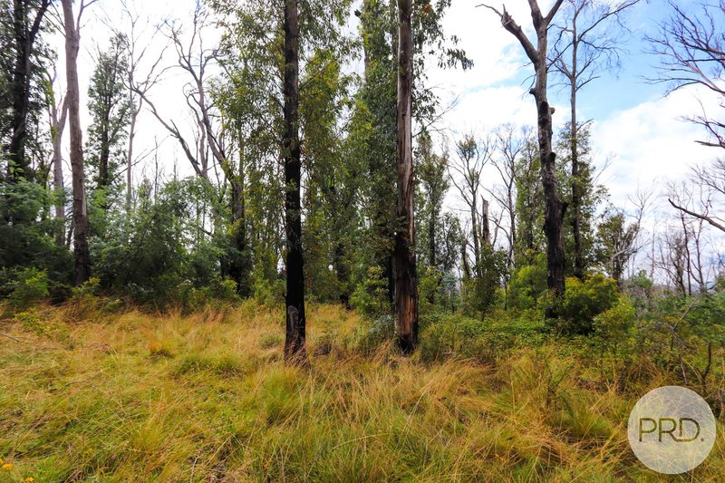 Photo - Lot 6 Moody'S Hill Road, Tumbarumba NSW 2653 - Image 13