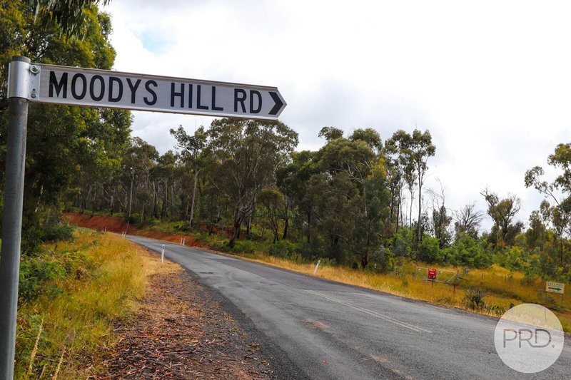 Photo - Lot 6 Moody'S Hill Road, Tumbarumba NSW 2653 - Image 17