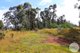 Photo - Lot 6 Moody'S Hill Road, Tumbarumba NSW 2653 - Image 20