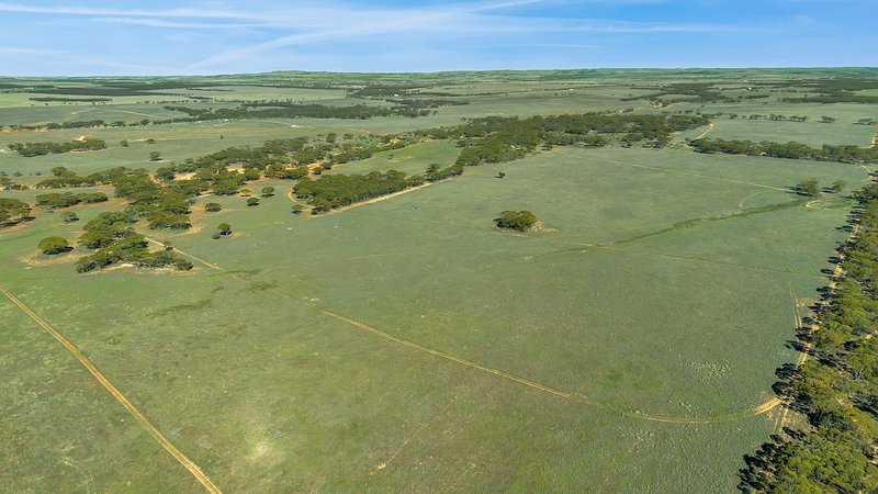 Photo - Lot 6 Stock Route Road, Sutherlands SA 5374 - Image 9