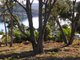 Photo - Lot 6 Turvey Avenue, Nubeena TAS 7184 - Image 1