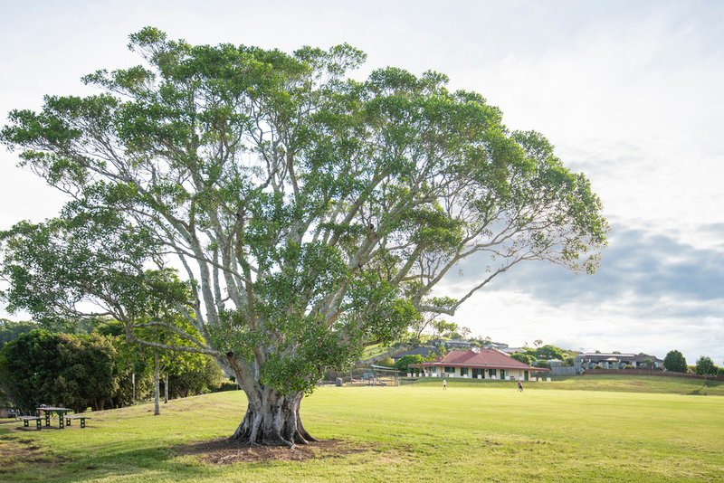 Photo - Lot 601 Bottlebrush Place, Caniaba NSW 2480 - Image 9