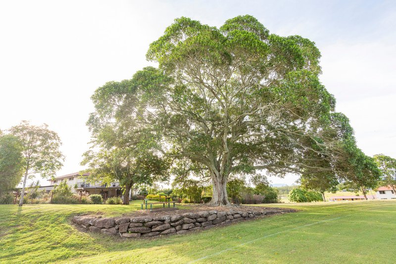 Photo - Lot 609 Bottlebrush Place, Caniaba NSW 2480 - Image 4