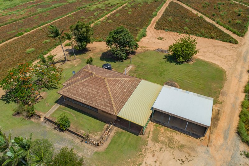 Photo - Lot 61 Central Avenue, Wamuran QLD 4512 - Image 5