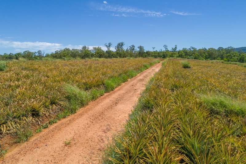 Photo - Lot 61 Central Avenue, Wamuran QLD 4512 - Image 6