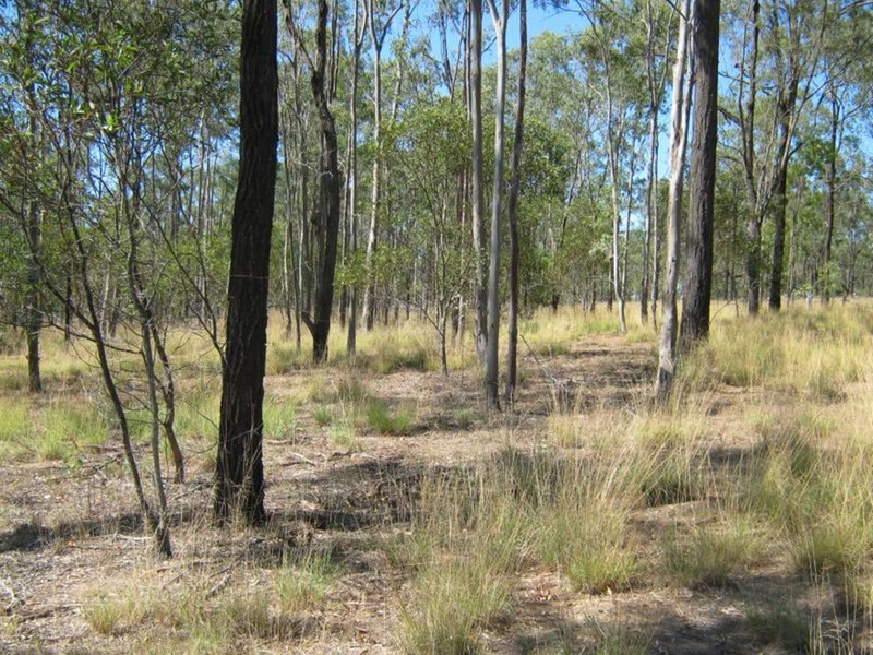 Photo - Lot 61 Farr Court, Wattle Camp QLD 4615 - Image 2