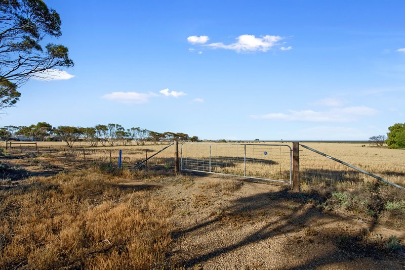 Photo - Lot 61 Gardner Street, Price SA 5570 - Image 6