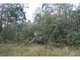 Photo - Lot 61 Invermay Avenue, Tomerong NSW 2540 - Image 2