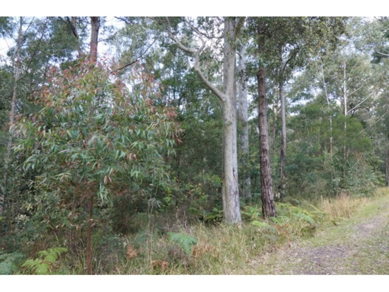 Photo - Lot 61 Invermay Avenue, Tomerong NSW 2540 - Image 3