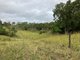 Photo - Lot 61 Mount Ossa-Seaforth Road, Seaforth QLD 4741 - Image 5