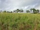 Photo - Lot 61 Mount Ossa-Seaforth Road, Seaforth QLD 4741 - Image 6