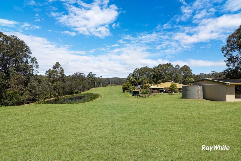 Photo - Lot 61 Princes Highway, East Lynne NSW 2536 - Image 34