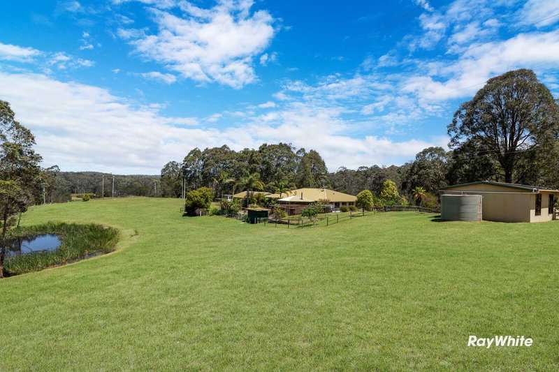 Photo - Lot 61 Princes Highway, East Lynne NSW 2536 - Image 35