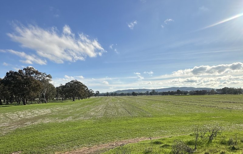 Photo - Lot 61 Rodgers Road, Gerogery NSW 2642 - Image 4