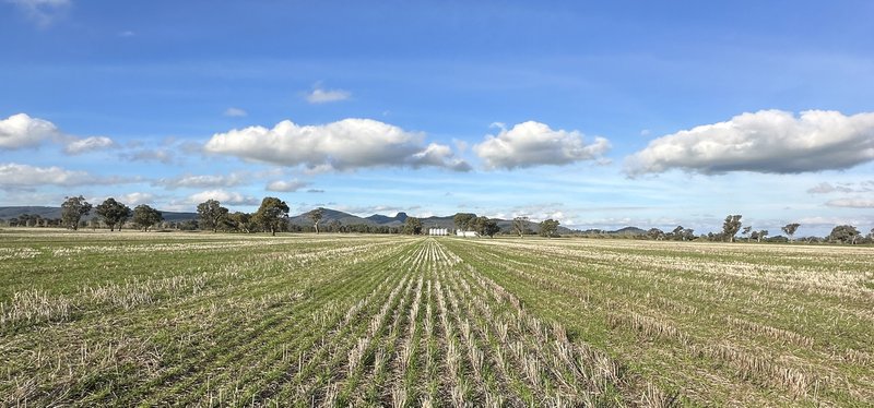 Photo - Lot 61 Rodgers Road, Gerogery NSW 2642 - Image 5