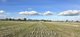 Photo - Lot 61 Rodgers Road, Gerogery NSW 2642 - Image 5