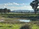 Photo - Lot 61 Rodgers Road, Gerogery NSW 2642 - Image 7