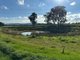 Photo - Lot 61 Rodgers Road, Gerogery NSW 2642 - Image 8