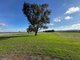 Photo - Lot 61 Rodgers Road, Gerogery NSW 2642 - Image 9