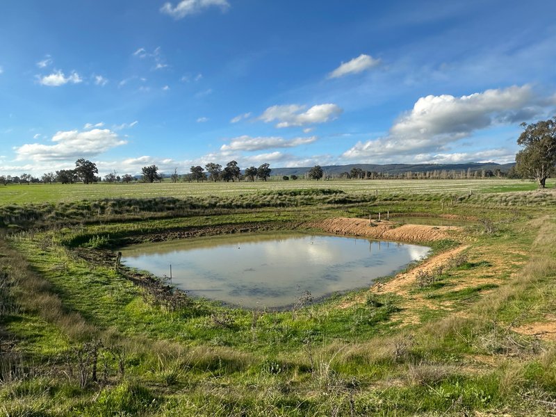 Photo - Lot 61 Rodgers Road, Gerogery NSW 2642 - Image 10