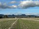 Photo - Lot 61 Rodgers Road, Gerogery NSW 2642 - Image 11