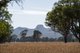 Photo - Lot 61 Rodgers Road, Gerogery NSW 2642 - Image 14