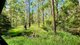 Photo - Lot 61/485/484/7 Bellthorpe Road, Sandy Creek QLD 4515 - Image 12