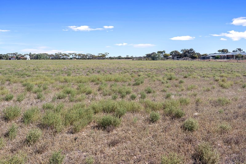 Photo - Lot 62 Mary Street, Price SA 5570 - Image 7