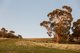 Photo - Lot 633 Malvi Close, Lower Chittering WA 6084 - Image 1