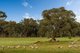 Photo - Lot 634 Malvi Close, Lower Chittering WA 6084 - Image 9