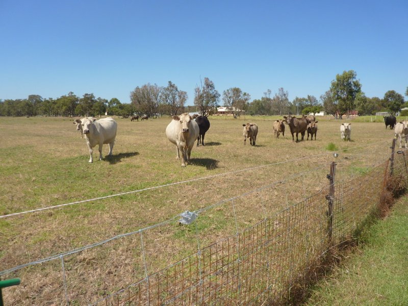 Photo - Lot 64 Hayward Street, Cookernup WA 6220 - Image 22