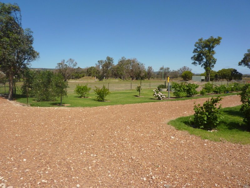 Photo - Lot 64 Hayward Street, Cookernup WA 6220 - Image 24