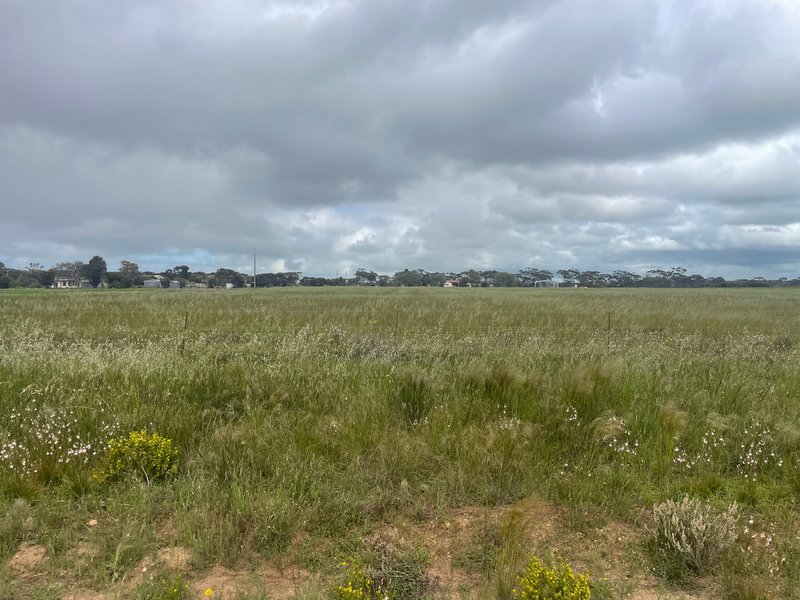 Photo - Lot 64 Mary Street, Price SA 5570 - Image 3